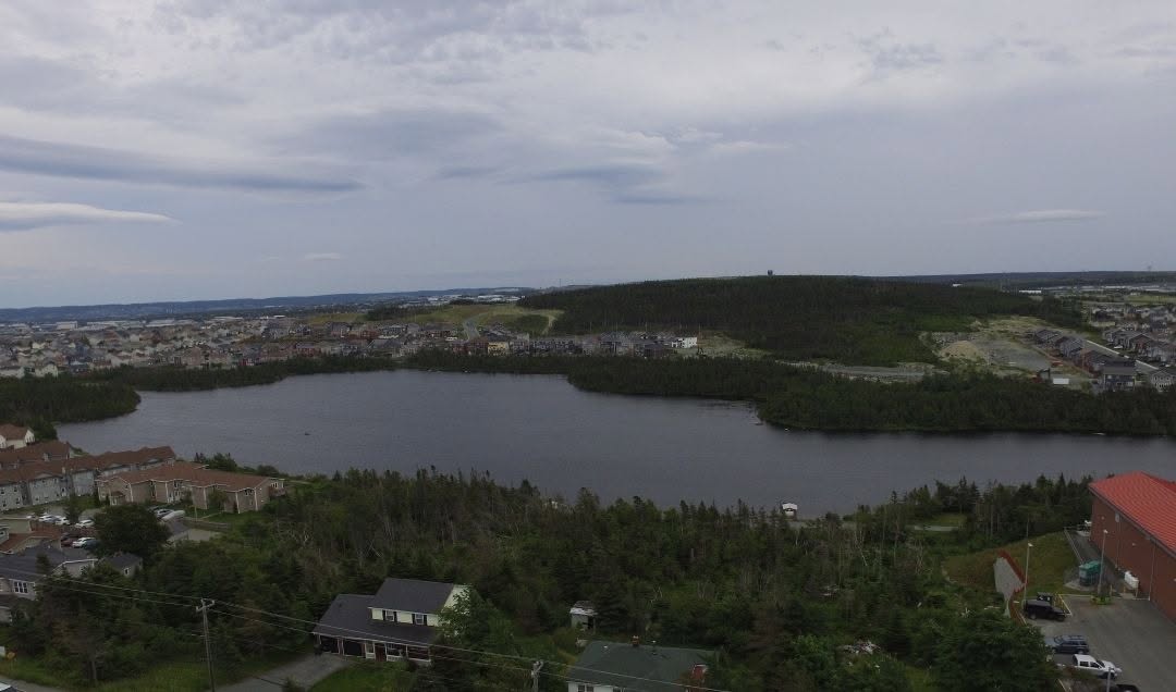 Aerial view of Neil's Pond in Paradise