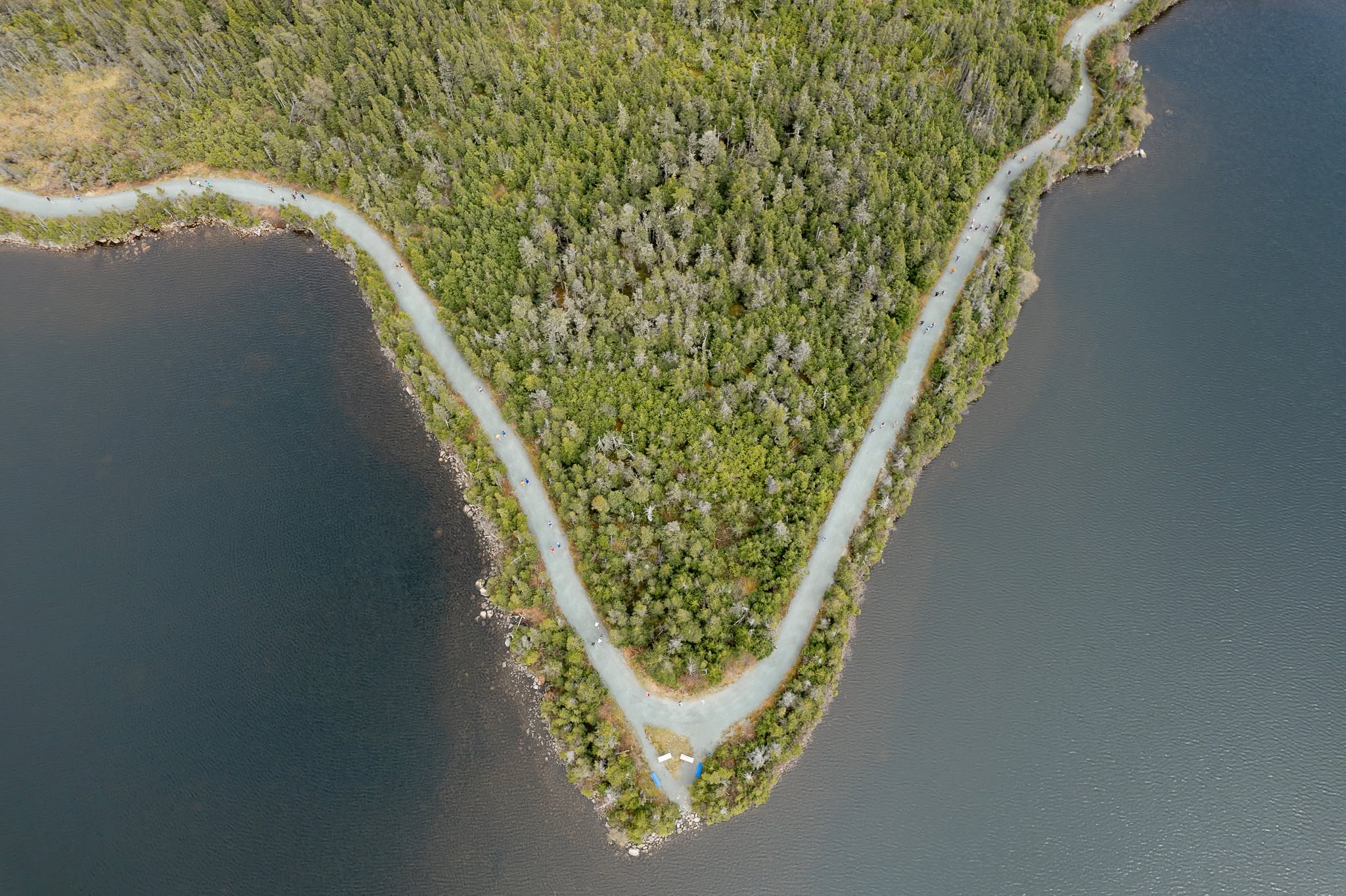 Aerial view of runners following the trail between ponds in Paradise